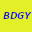 BDGYsearches software