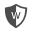 WProtect software