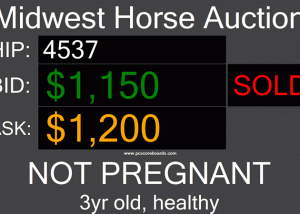 Auction Tote Board screenshot