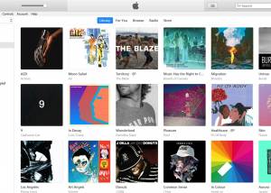 iTunes download screenshot