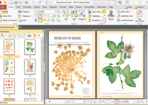 Full PDF-XChange Pro screenshot