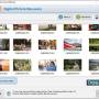 001Micron Digital Pictures Recovery 5.8.3.1 screenshot