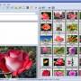 Able Image Browser 2.0.14.14 screenshot