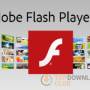 Adobe Flash Player for Android 11.1.115.81 screenshot