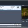 Aiseesoft Video to GIF Converter 1.1.12 screenshot
