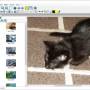 Alternate Pic View Lite 3.460 screenshot