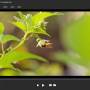 AnyMP4 Blu-ray Player 6.5.68 screenshot
