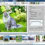 Artensoft Photo Editor 1.6 screenshot