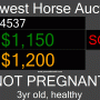 Auction Tote Board 2.1.3 screenshot