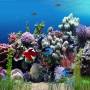 AW-Mill Aquarium Animated Wallpaper 1.0.0 screenshot