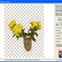 Background Remover 3.2 screenshot