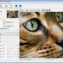 BenVista PhotoZoom Pro 9.0.2 screenshot