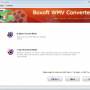 Boxoft WMV Converter 1.0 screenshot
