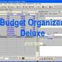 Budget Organizer Deluxe 4.21 screenshot