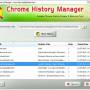Chrome History Manager 3.0 screenshot