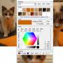 ColorPic 5.0 screenshot