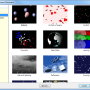 CyberFlair 3D Impressions Studio 2.1.1.13006 screenshot