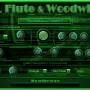DAL Flute Woodwinds VST VST3 AU 4.0 screenshot