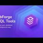 dbForge SQL Tools 2025.1.124 screenshot