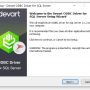 SQL Server ODBC Driver by Devart 5.1.0 screenshot