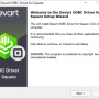 Devart ODBC Driver for Square 2.0.0 screenshot