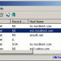 DNSDataView 1.75 screenshot