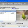 Easy Digital Photo Recovery 3.0 screenshot