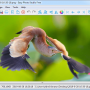 Easy Photo Studio FREE for Windows 4.0.1 screenshot