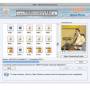 File Recovery Mac 4.0.1.6 screenshot