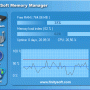 FinitySoft Memory Manager 4.0.4.435 screenshot