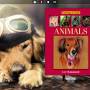 Flash Catalog Templates Cute Dog Style 1.0 screenshot