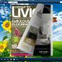 Flash flip book theme for sunflowers style 1.0 screenshot