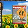 Flash Flip Book Theme of Sunflower 1.0 screenshot