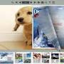 Flash Magazine Themes in Cute Dog Style 1.0 screenshot