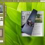 FlashBook Templates for Leaf Style 1.0 screenshot