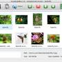 Flickr Gallery for Mac OS 4.8.3 screenshot