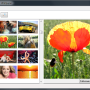 Flickr Mass Downloader 5.1.0 screenshot
