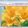 Flippagemaker Image to PDF Converter 1.0.0 screenshot