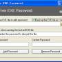 Free EXE Password 1.1 screenshot