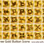 Free Gold Button Icons 2013.1 screenshot