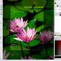 Gimp for x64 Windows 2.10.38 screenshot