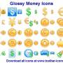 Glossy Money Icons 2013.1 screenshot