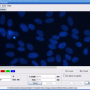 GSA Image Analyser 4.3.9 screenshot