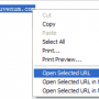 IE Open Selected URL 1.0.1.0 screenshot