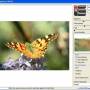 Image Repainter 1.5 screenshot