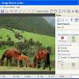 Image Resize Guide 2.2.9 screenshot