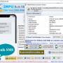 International Bulk Messaging Service 9.4.6.8 screenshot