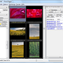 JPhotoTagger 1.1.7 screenshot