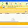 Kernel Paradox - File Repair Software 4.03 screenshot