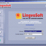 LingvoSoft FlashCards English <-> Albanian for Windows 1.5.09 screenshot